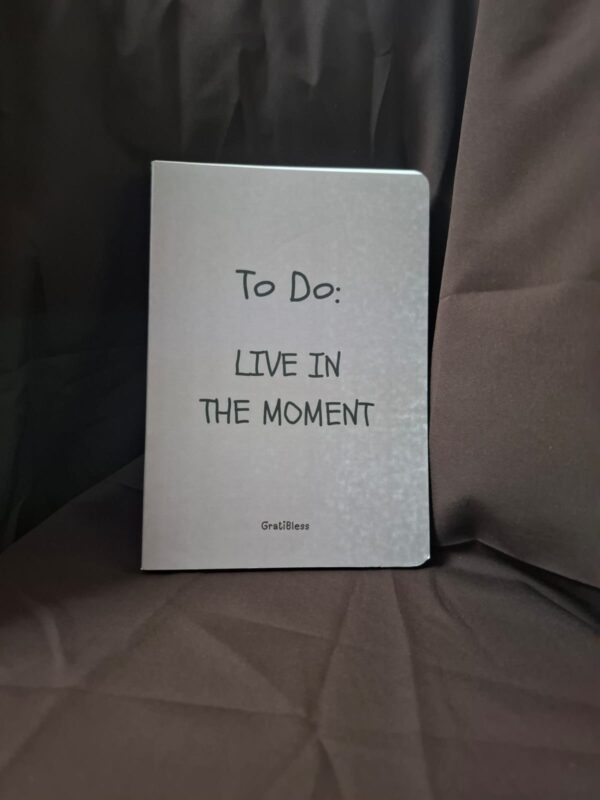 Live in the moment Diary